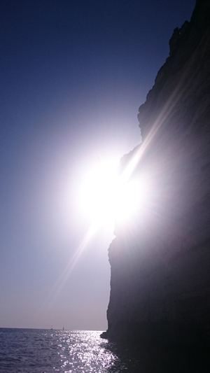 sole